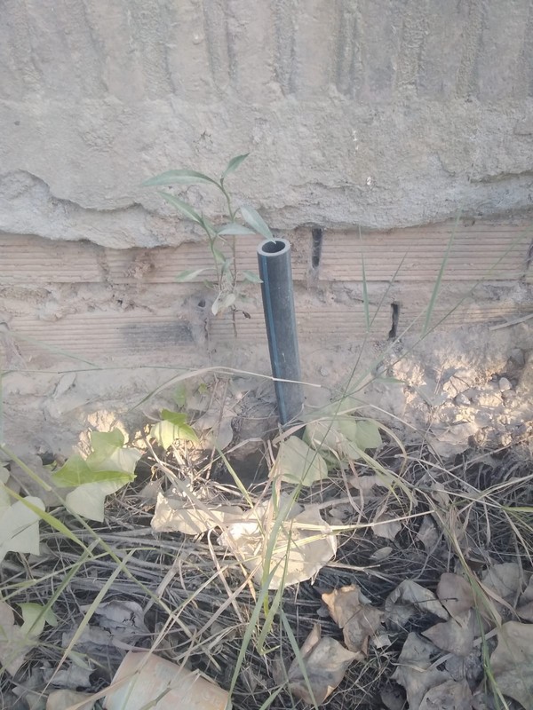 Acometida de agua 18