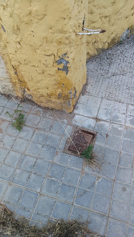 Acometida de agua 29