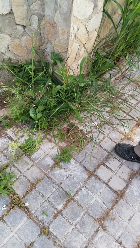 Acometida de agua 47